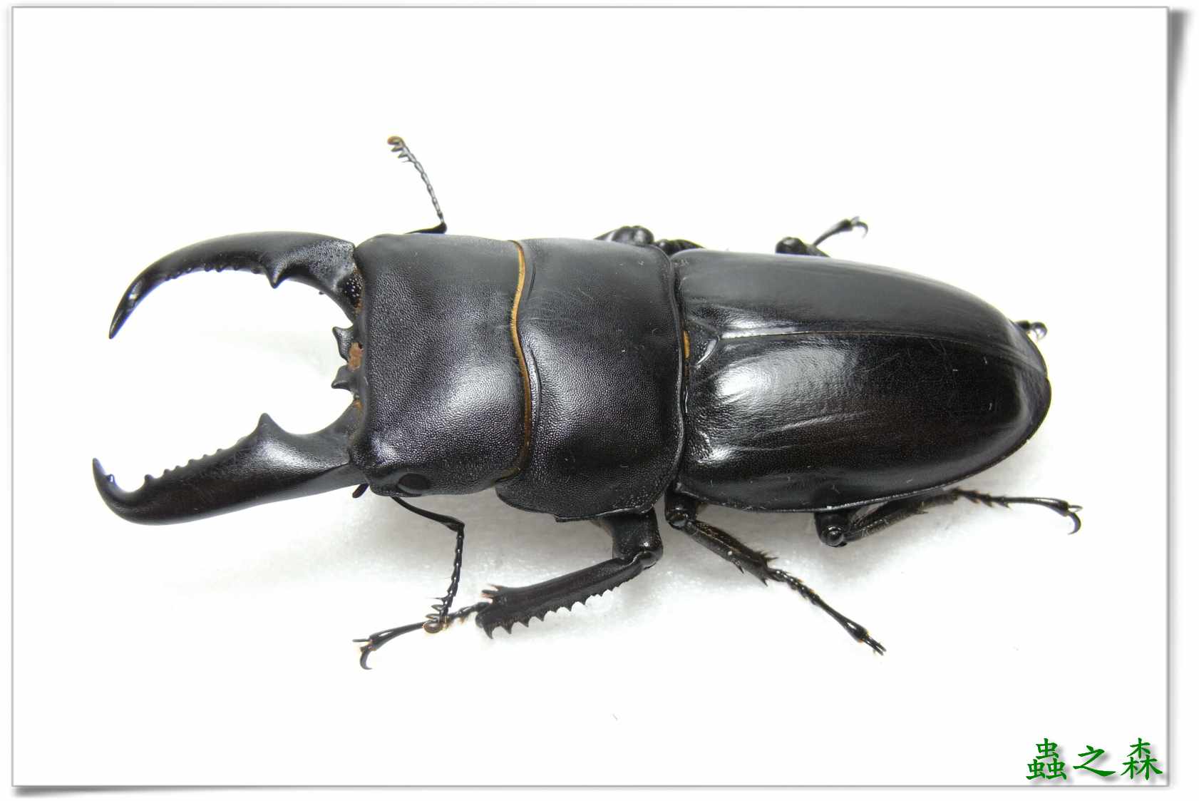 按此在新視窗瀏覽圖片