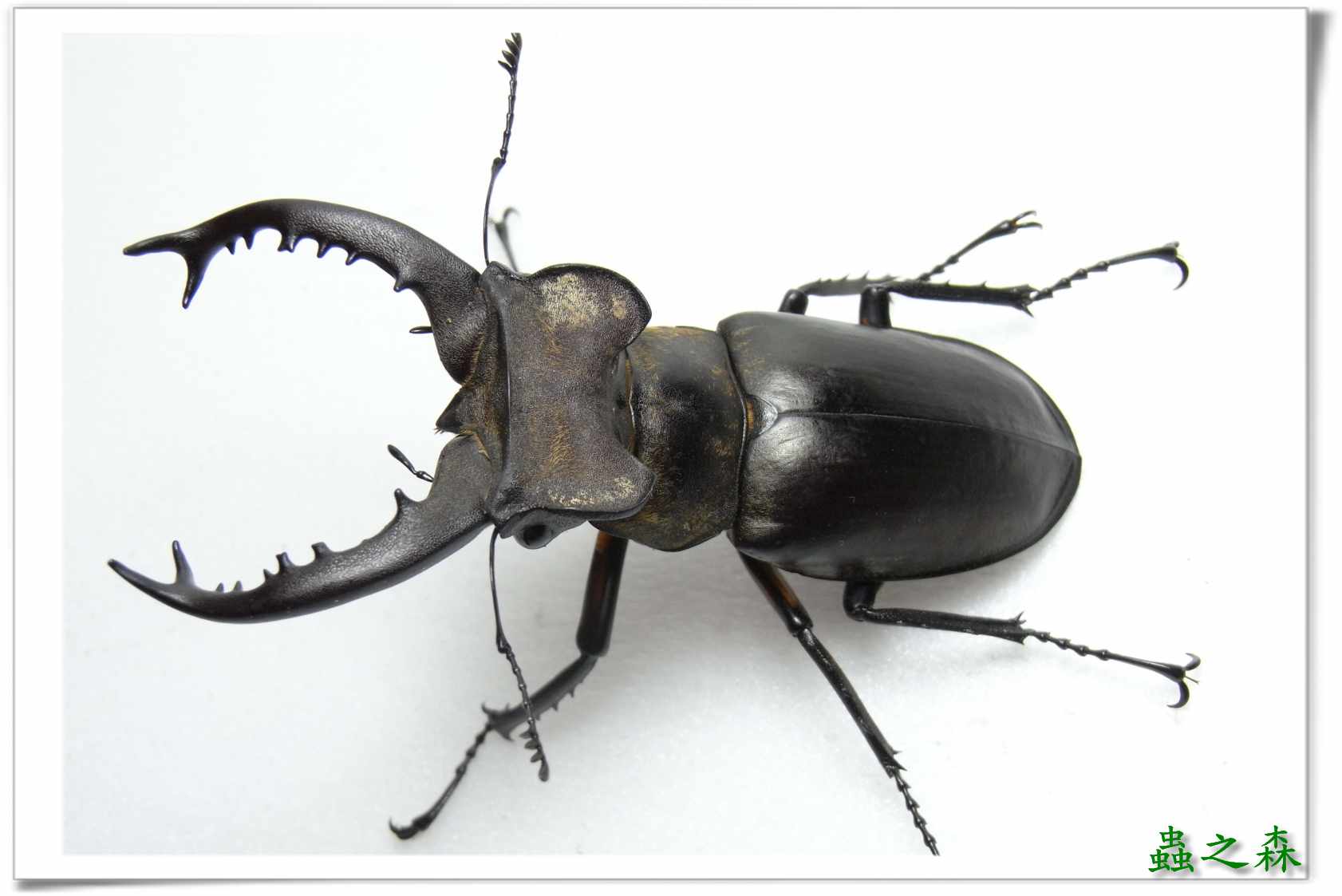 按此在新視窗瀏覽圖片