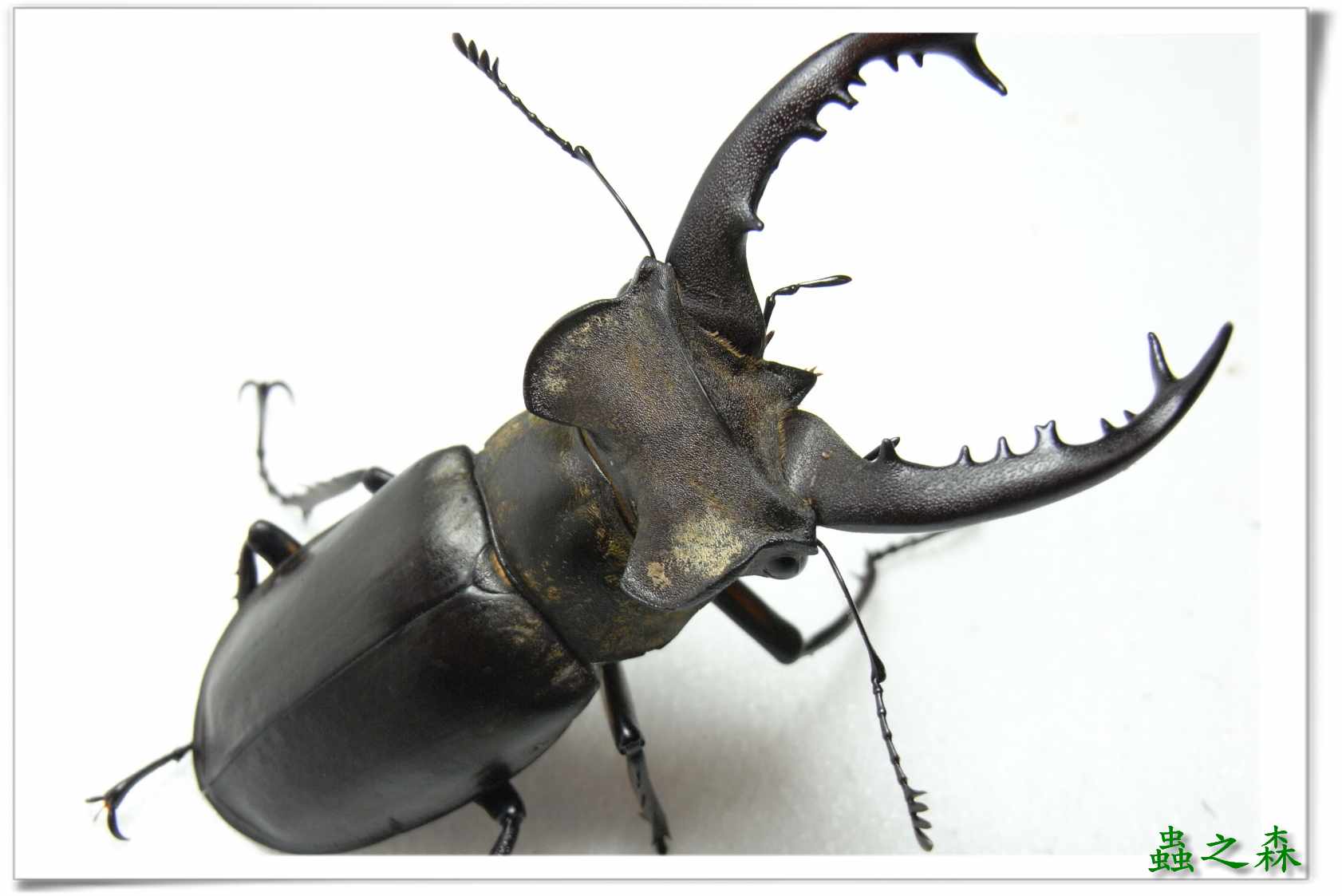 按此在新視窗瀏覽圖片