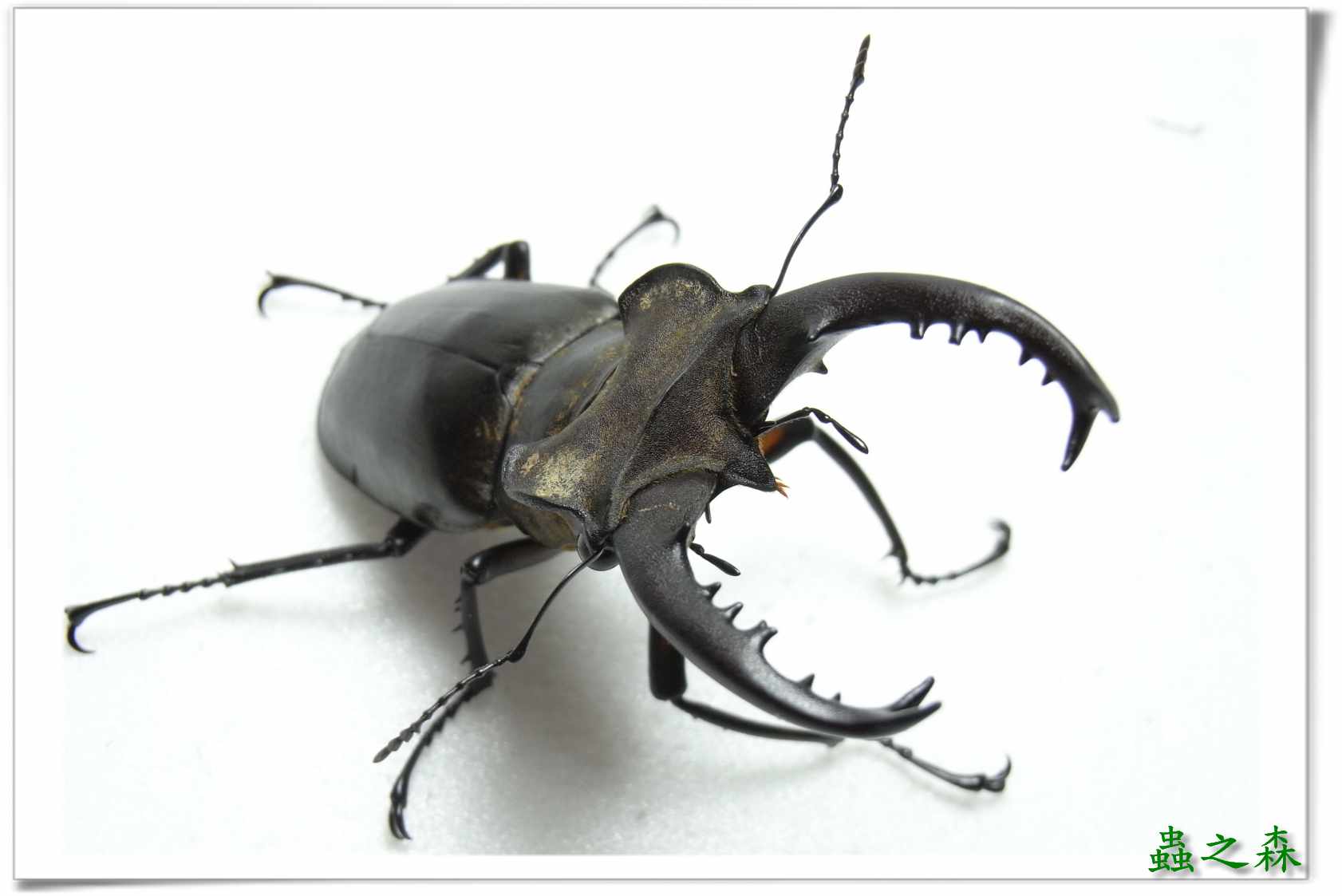 按此在新視窗瀏覽圖片