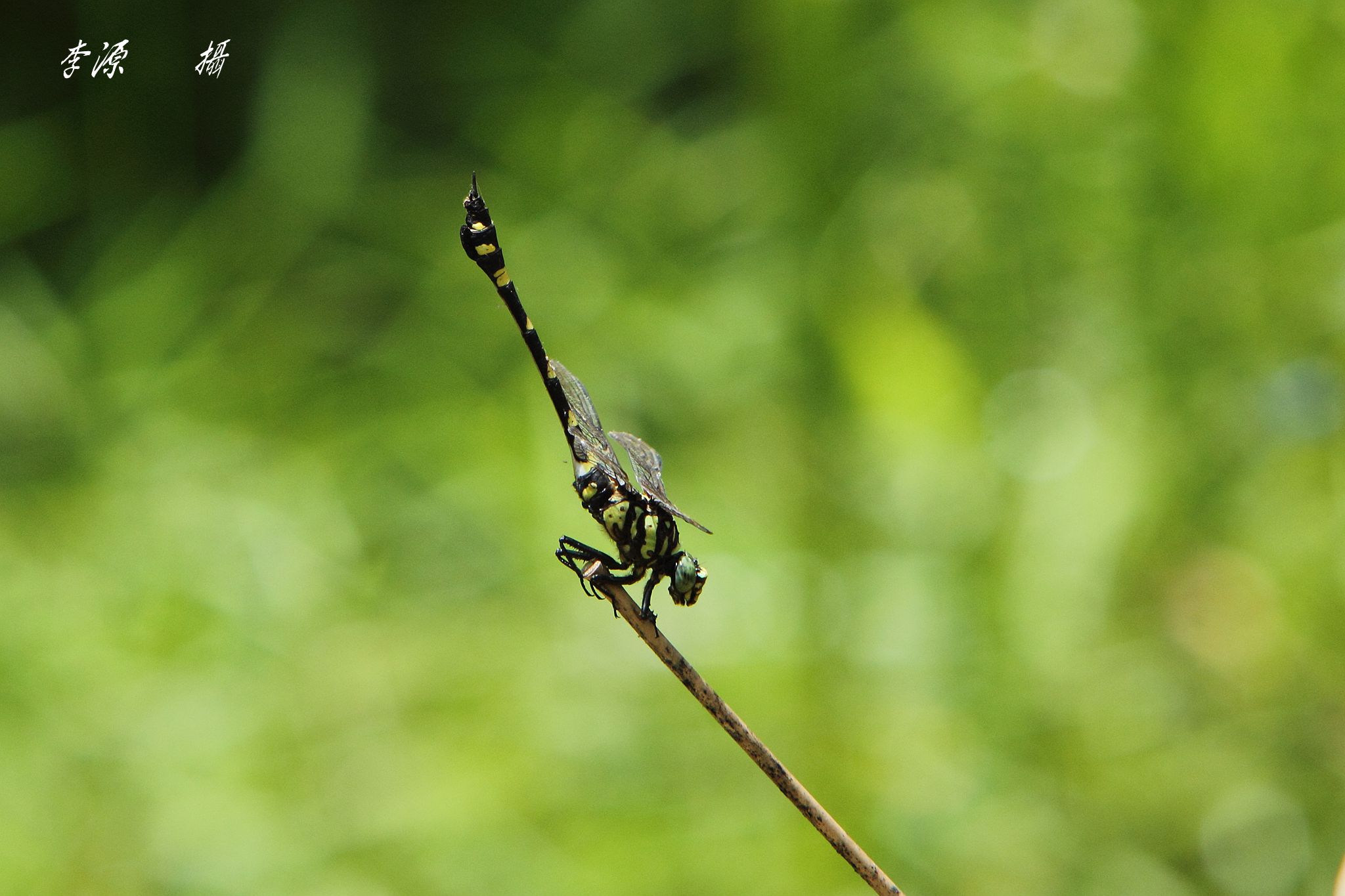 按此在新視窗瀏覽圖片