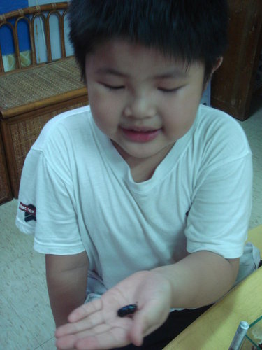 按此在新視窗瀏覽圖片