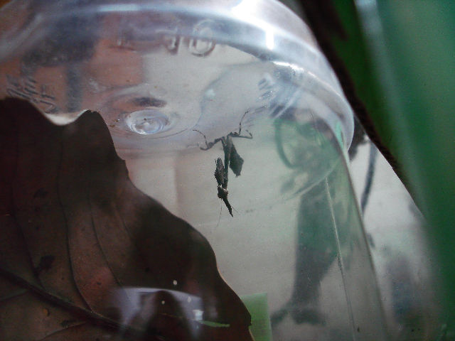 按此在新視窗瀏覽圖片