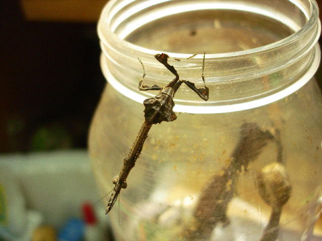 按此在新視窗瀏覽圖片