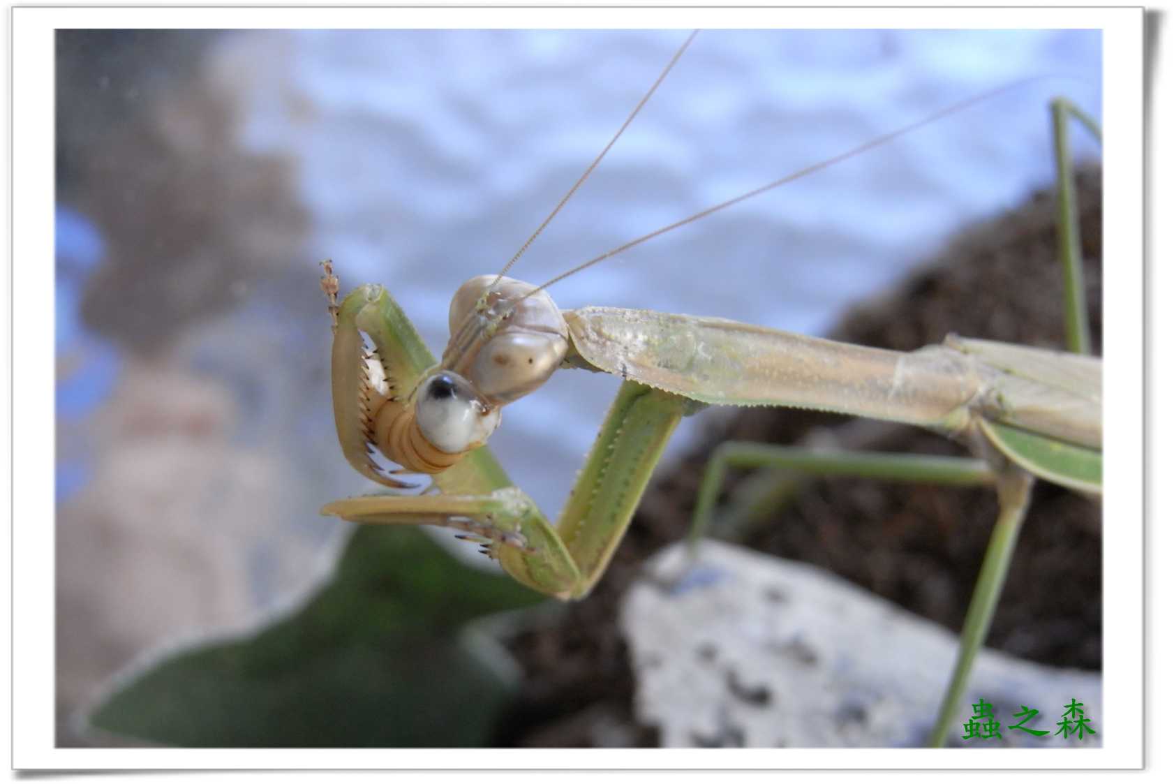 «ö¦¹¦b·sµøµ¡ÂsÄý¹Ï¤ù