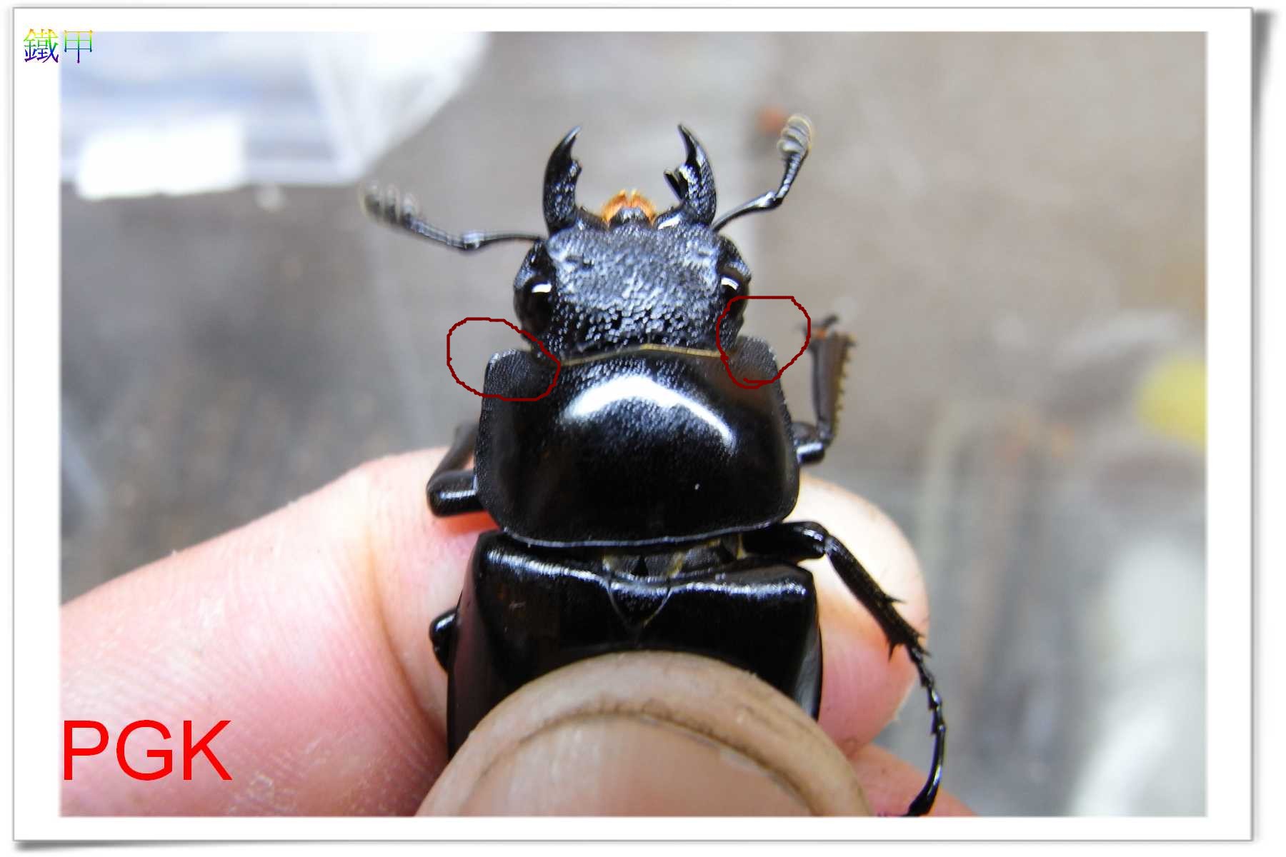 按此在新視窗瀏覽圖片