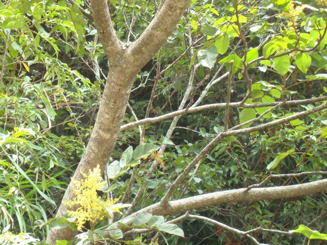 按此在新視窗瀏覽圖片