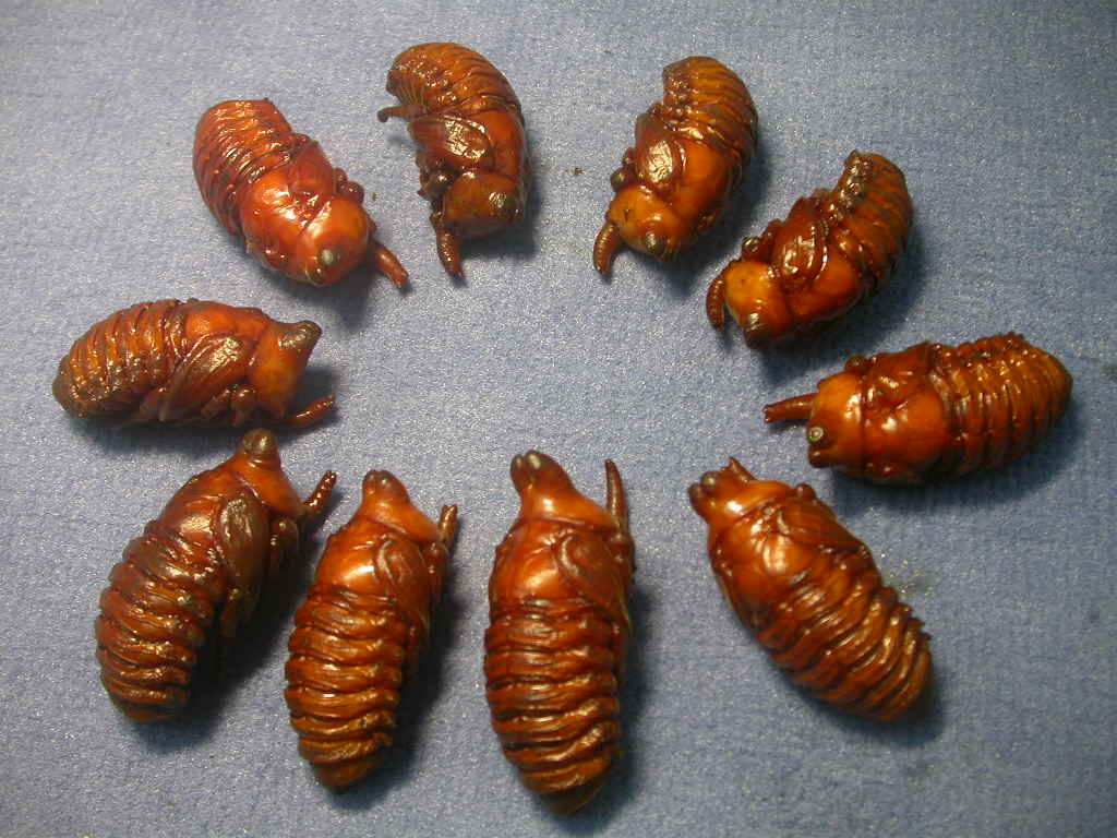 按此在新視窗瀏覽圖片