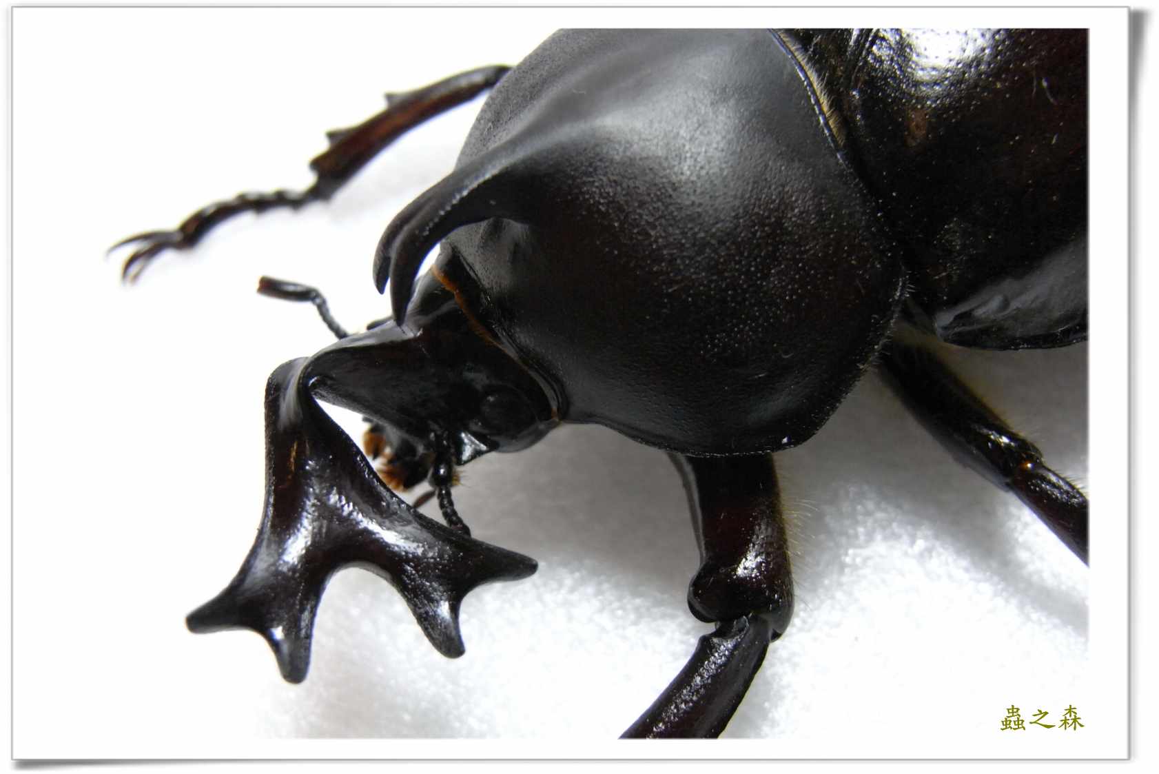 按此在新視窗瀏覽圖片