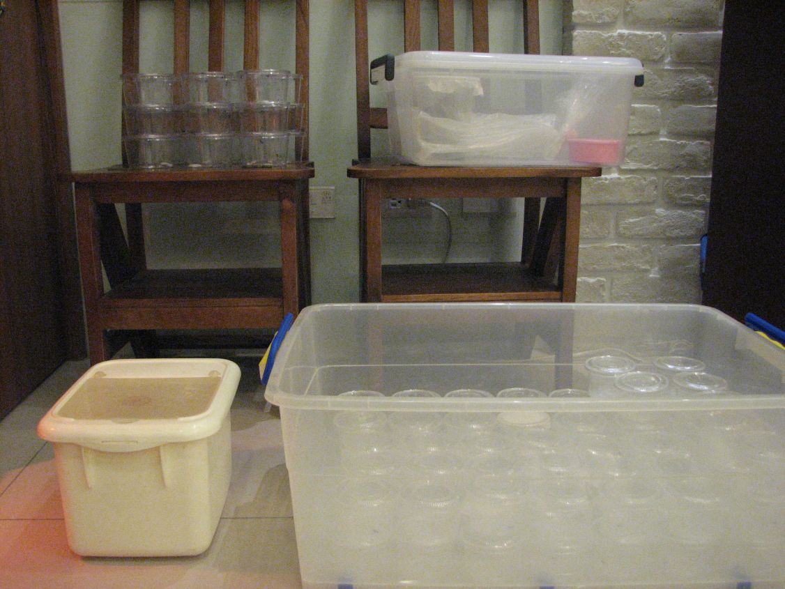 «ö¦¹¦b·sµøµ¡ÂsÄý¹Ï¤ù