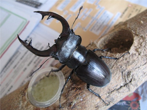 按此在新視窗瀏覽圖片