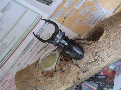 按此在新視窗瀏覽圖片