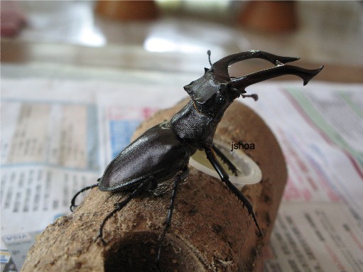 按此在新視窗瀏覽圖片