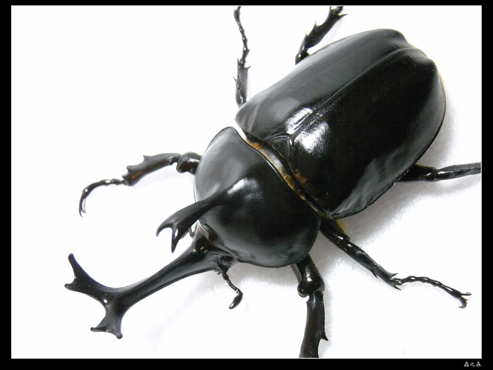 按此在新視窗瀏覽圖片