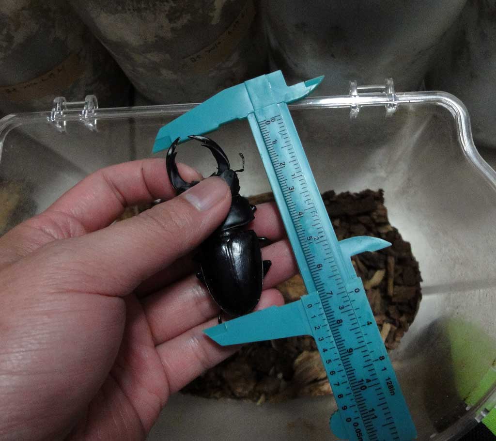 按此在新視窗瀏覽圖片