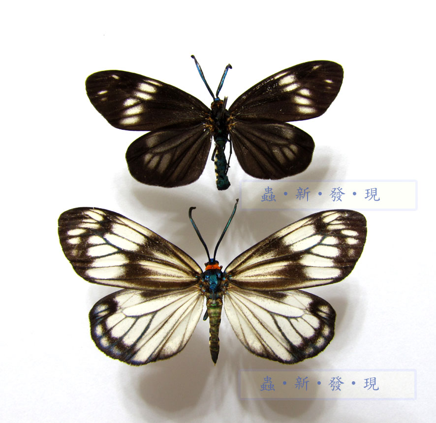 按此在新視窗瀏覽圖片