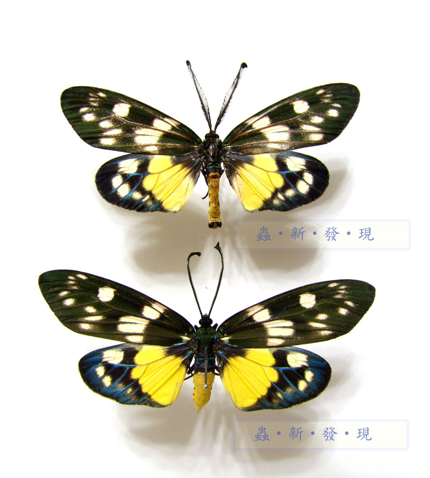 按此在新視窗瀏覽圖片