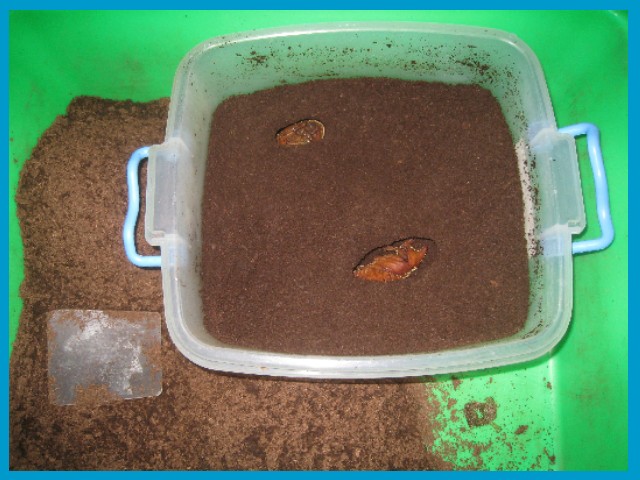 «ö¦¹¦b·sµøµ¡ÂsÄý¹Ï¤ù