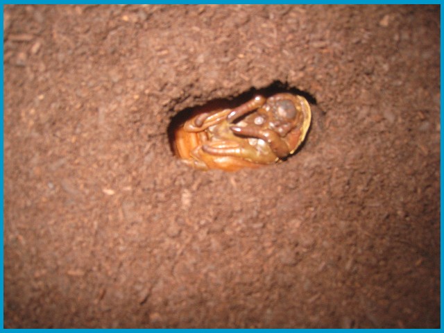 «ö¦¹¦b·sµøµ¡ÂsÄý¹Ï¤ù