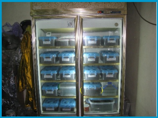 «ö¦¹¦b·sµøµ¡ÂsÄý¹Ï¤ù