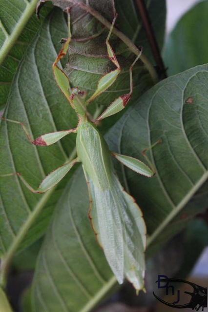 按此在新視窗瀏覽圖片