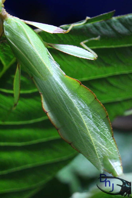 按此在新視窗瀏覽圖片