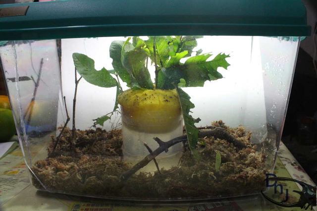 «ö¦¹¦b·sµøµ¡ÂsÄý¹Ï¤ù