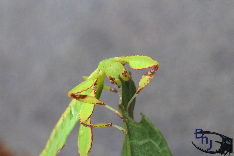 «ö¦¹¦b·sµøµ¡ÂsÄý¹Ï¤ù