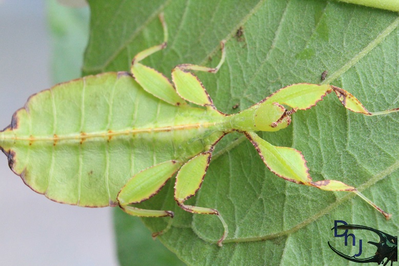 «ö¦¹¦b·sµøµ¡ÂsÄý¹Ï¤ù