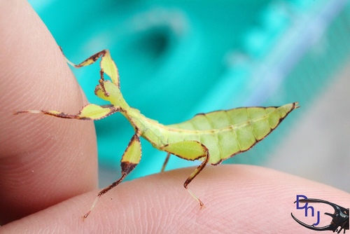 «ö¦¹¦b·sµøµ¡ÂsÄý¹Ï¤ù