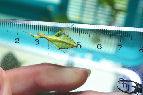 «ö¦¹¦b·sµøµ¡ÂsÄý¹Ï¤ù