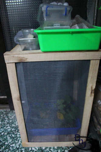 «ö¦¹¦b·sµøµ¡ÂsÄý¹Ï¤ù