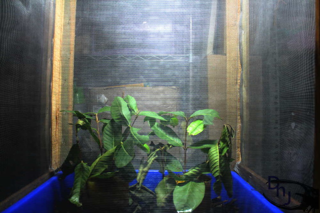 «ö¦¹¦b·sµøµ¡ÂsÄý¹Ï¤ù