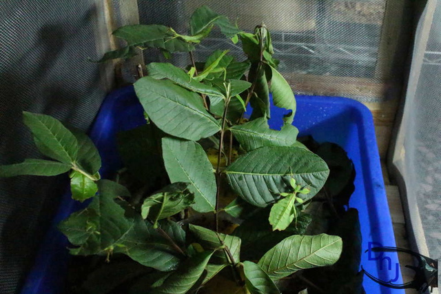 «ö¦¹¦b·sµøµ¡ÂsÄý¹Ï¤ù