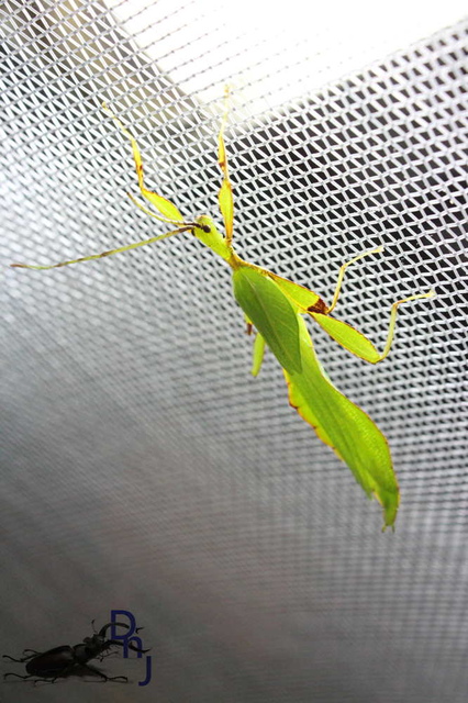 «ö¦¹¦b·sµøµ¡ÂsÄý¹Ï¤ù