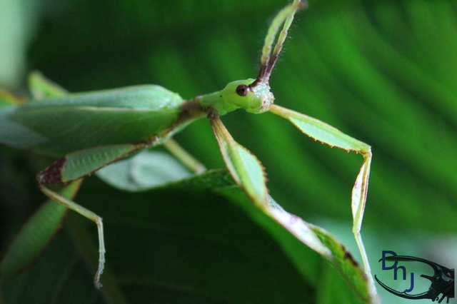 «ö¦¹¦b·sµøµ¡ÂsÄý¹Ï¤ù