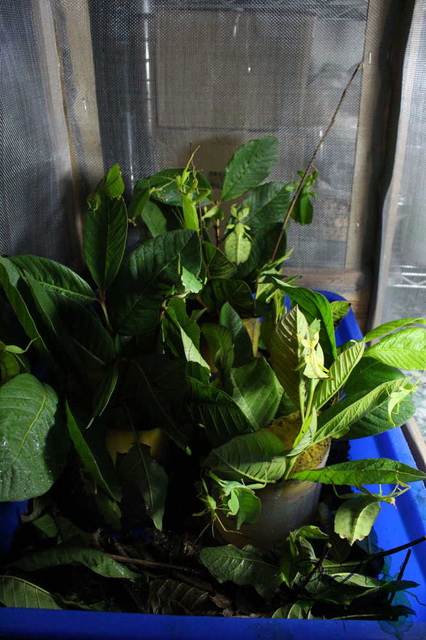 «ö¦¹¦b·sµøµ¡ÂsÄý¹Ï¤ù