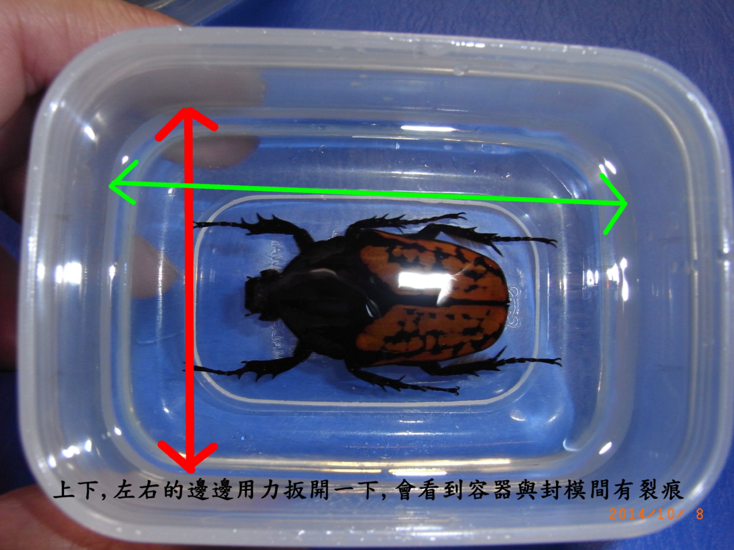 按此在新視窗瀏覽圖片