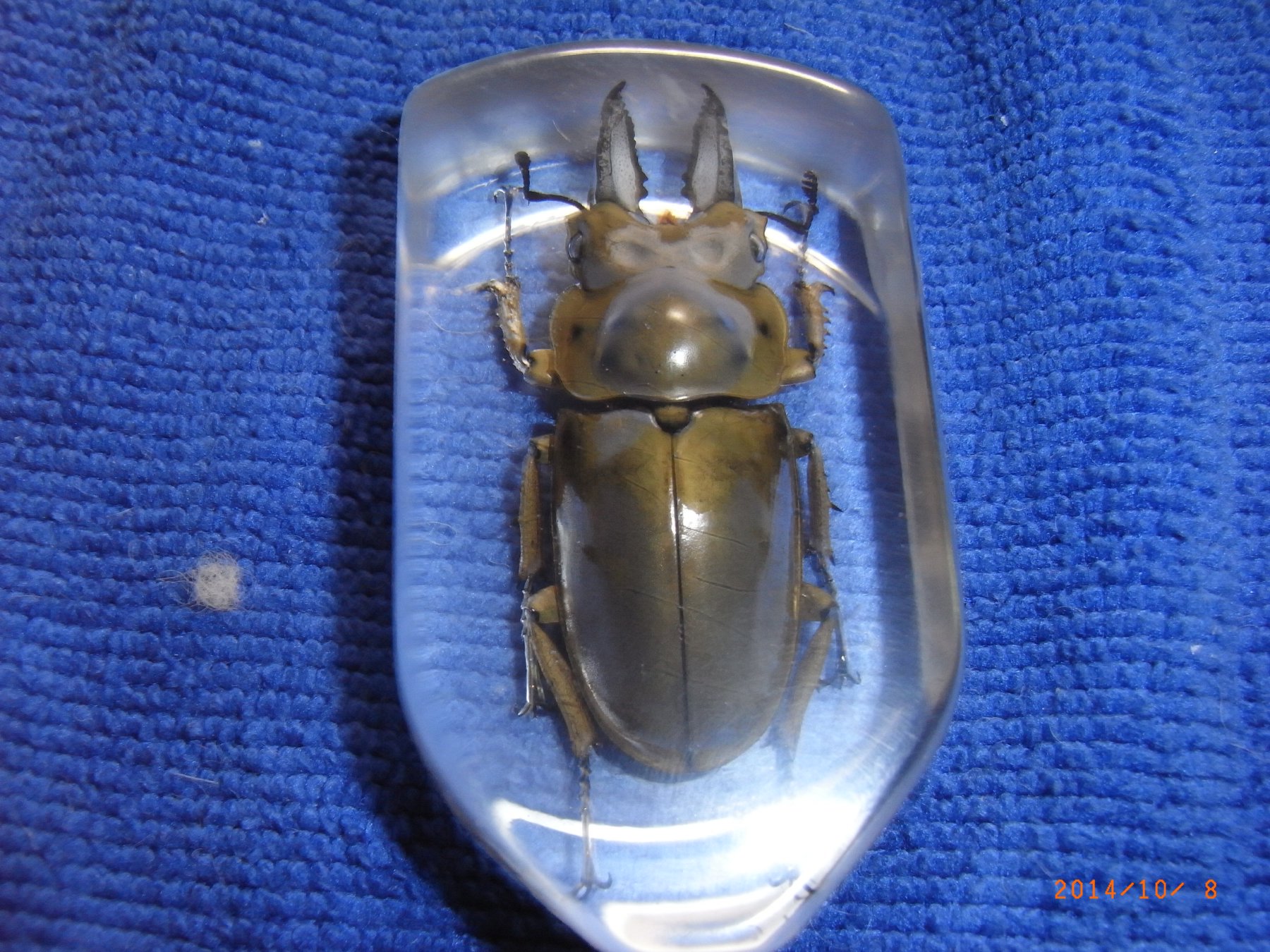 按此在新視窗瀏覽圖片