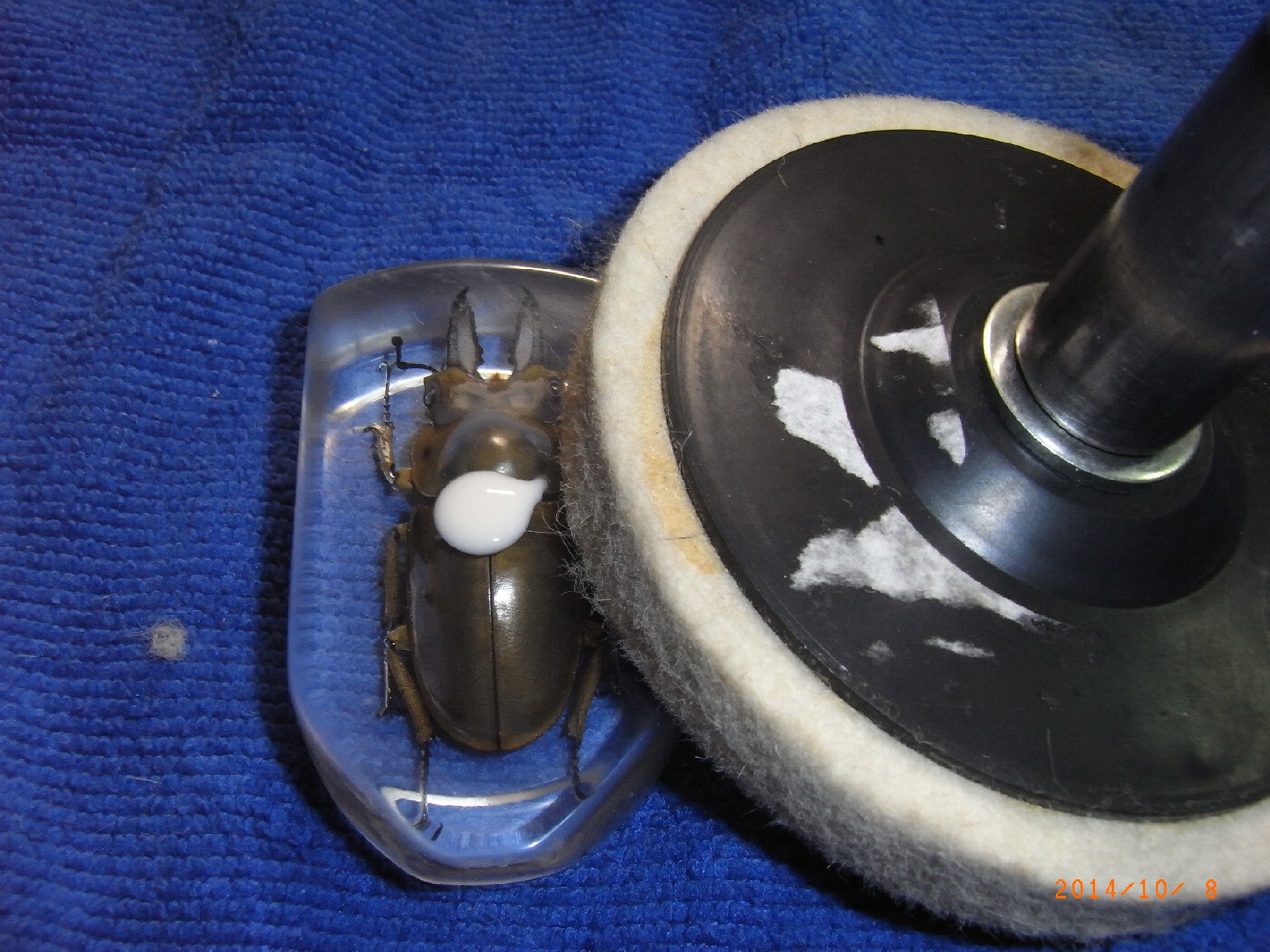 按此在新視窗瀏覽圖片