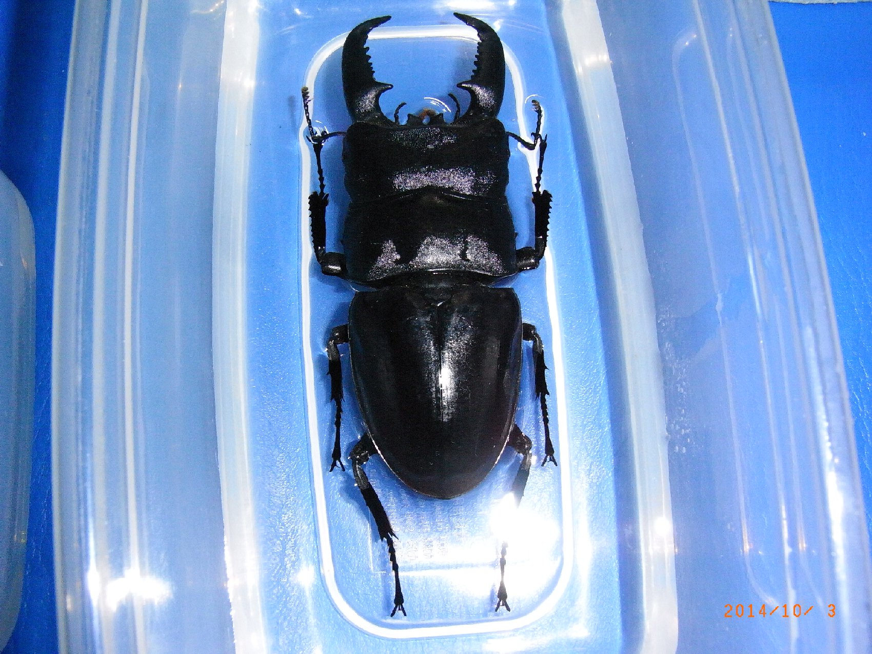 按此在新視窗瀏覽圖片