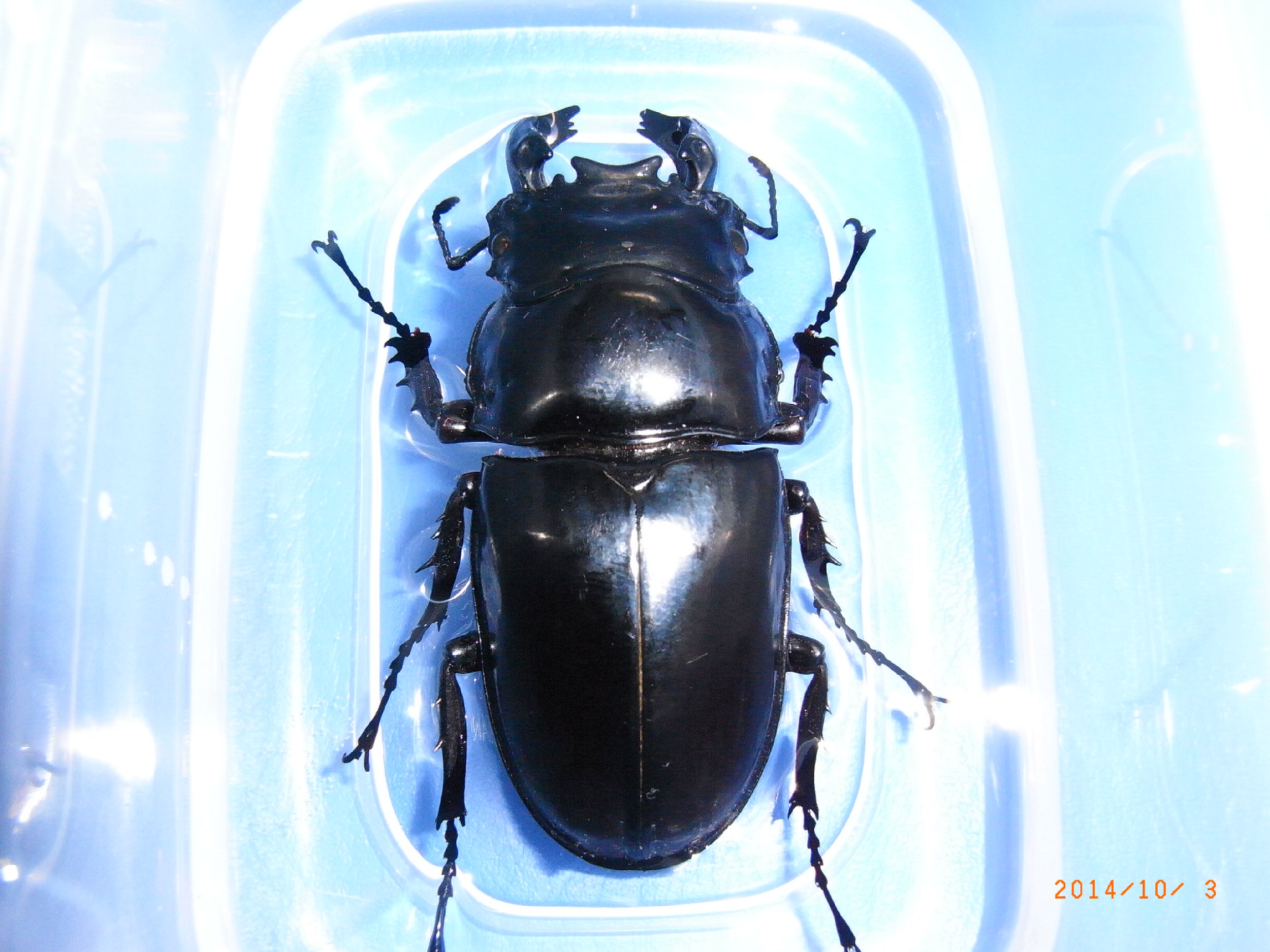 按此在新視窗瀏覽圖片