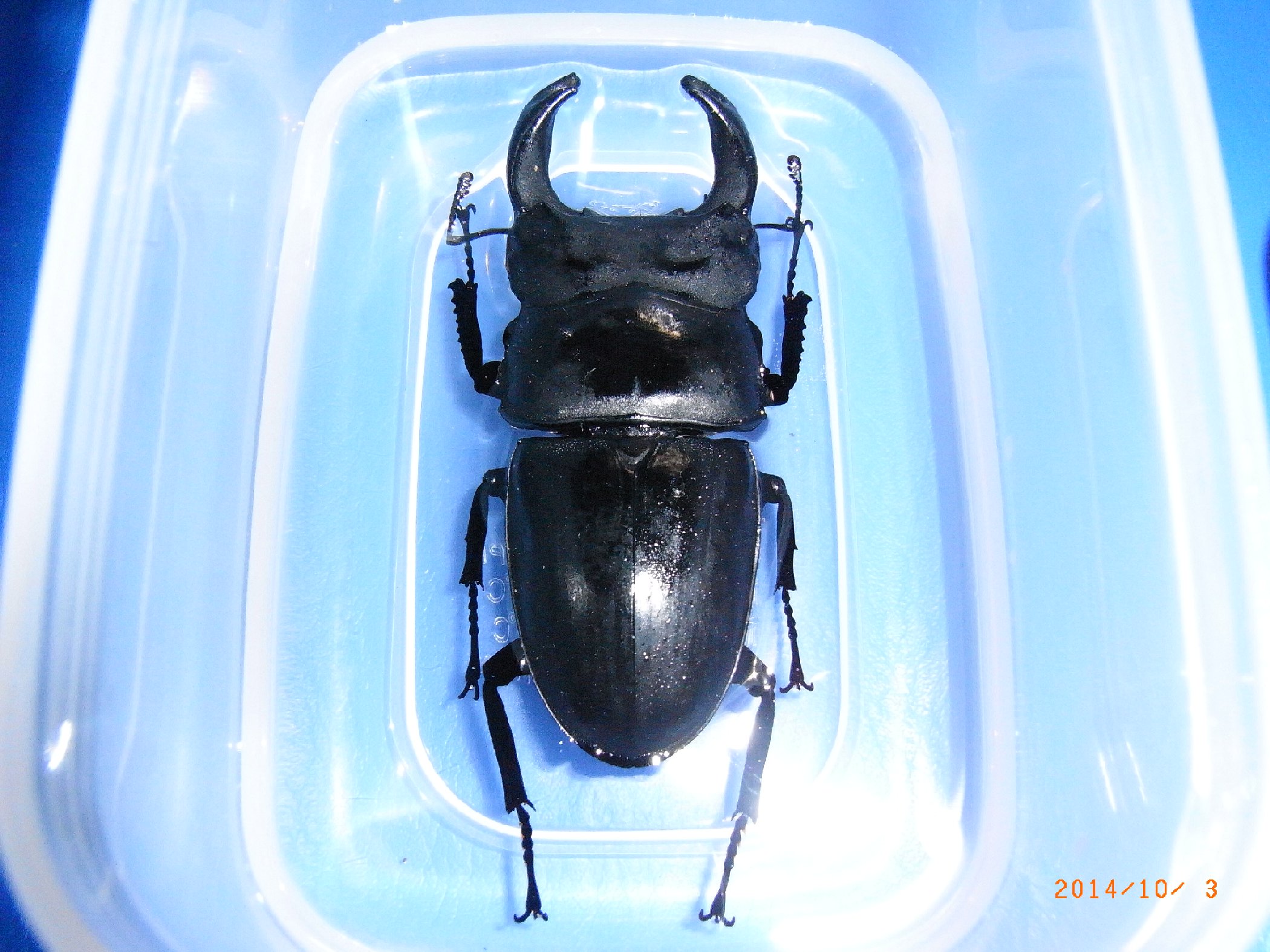 按此在新視窗瀏覽圖片