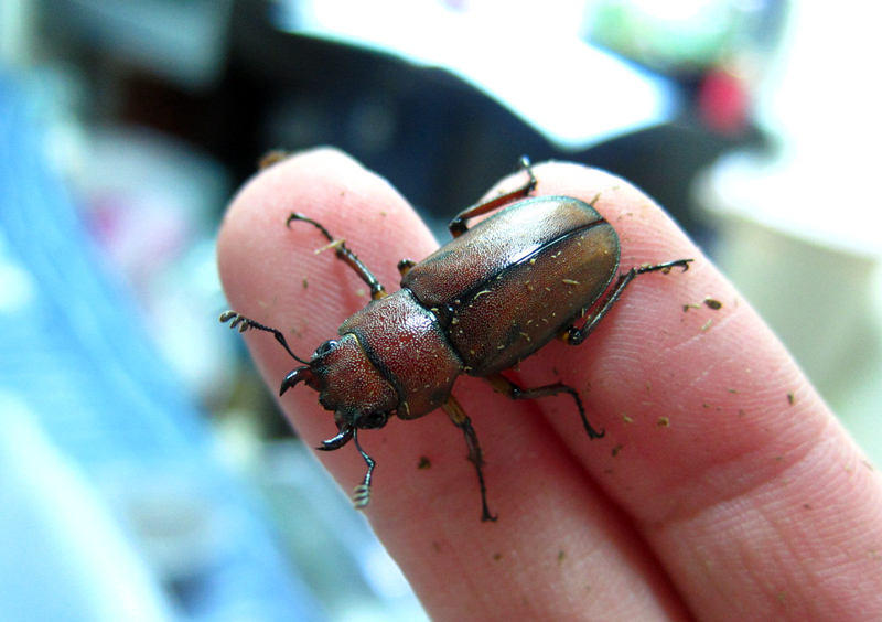 按此在新視窗瀏覽圖片