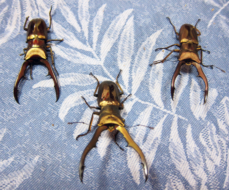 按此在新視窗瀏覽圖片