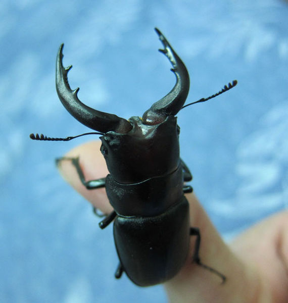 按此在新視窗瀏覽圖片