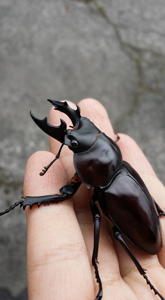 按此在新視窗瀏覽圖片