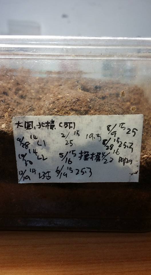 按此在新視窗瀏覽圖片