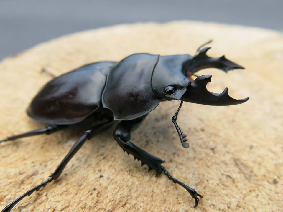 按此在新視窗瀏覽圖片