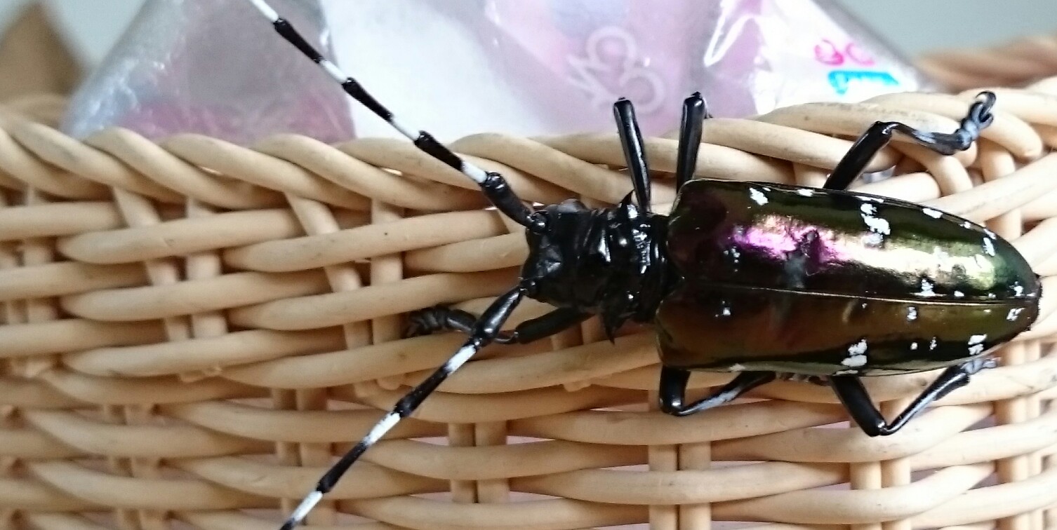 按此在新視窗瀏覽圖片